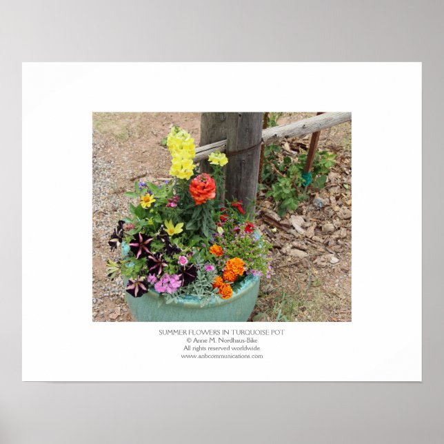 Summer Flowers in Turquoise Pot Poster (Vorne)