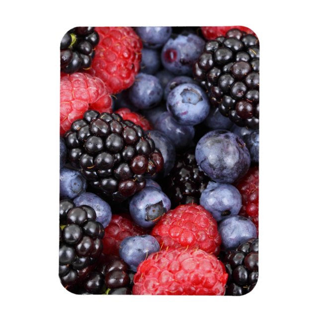 Summer Fruit Berries Magnet (Vertikal)