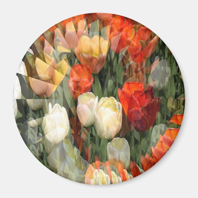 Summer Garden......... Magnet (Vorne)