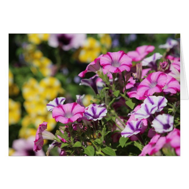 Summer Garden Note Card (Vorderseite (Horizontal))