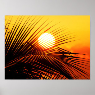 Summer Gefühl Poster
