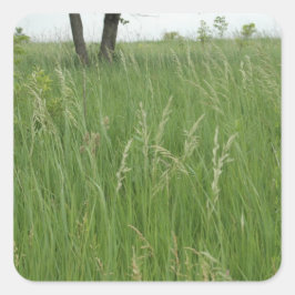 Summer Grass Sticker von H.A.S. Arts