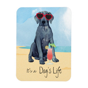Summer Great Dane Magnet