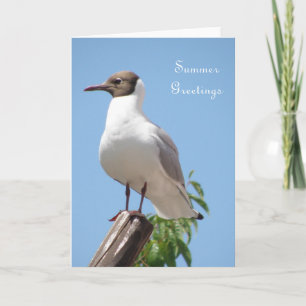 Summer Greetings Bird Card Karte