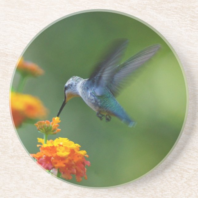 Summer Hummer Untersetzer (Vorne)