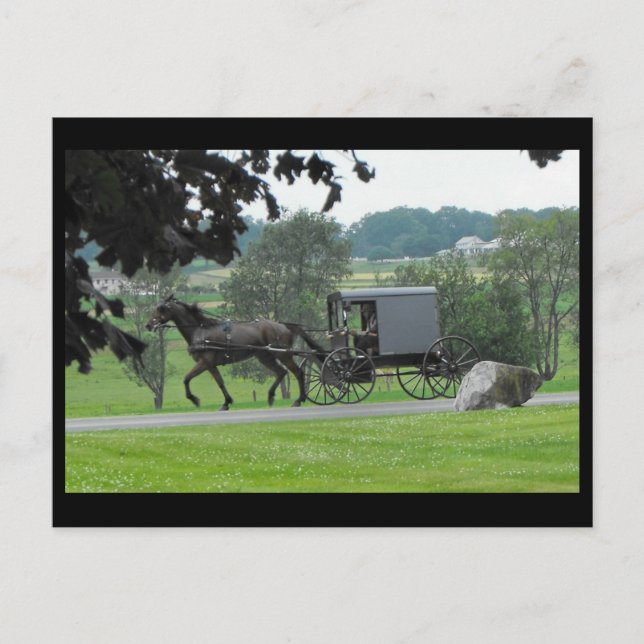 ~ Summer in Lancaster County ~ 71 Postkarte (Vorderseite)