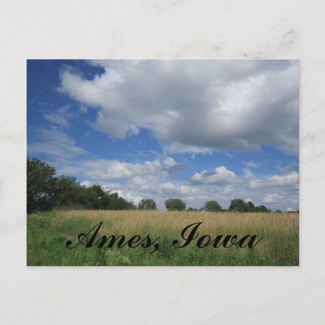 Summer Iowa Prairie Ames, Iowa Postkarten (Vorderseite)