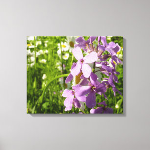 Summer Lilac und Daisies Leinwanddruck