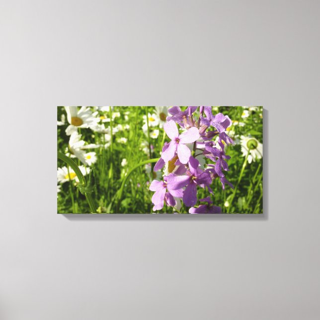 Summer Lilac und Daisies Leinwanddruck (Vorderseite)
