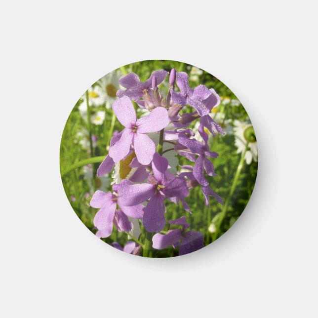 Summer Lilac und Daisies Magnet (Vorne)