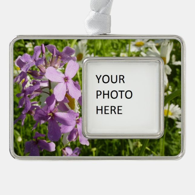 Summer Lilac und Daisies Rahmen-Ornament Silber (Vorderseite)
