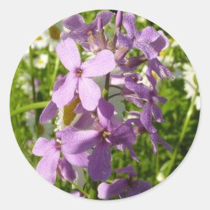 Summer Lilac und Daisies Runder Aufkleber