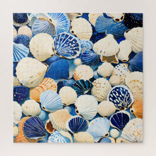 Summer Marine Seashells
