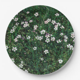 Summer Meadow Small White & Light Pink Wildblumen Pappteller