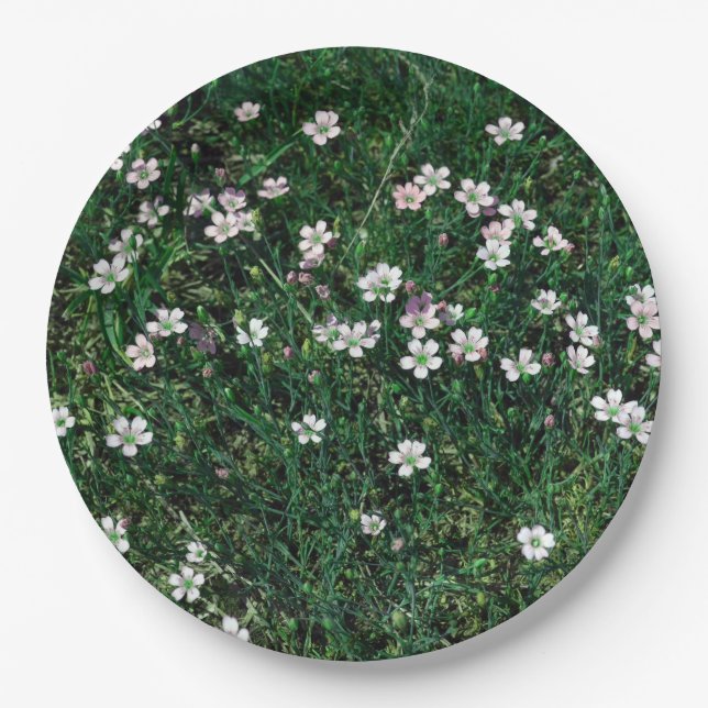 Summer Meadow Small White & Light Pink Wildblumen Pappteller (Vorderseite)