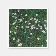 Summer Meadow Small White & Light Pink Wildblumen