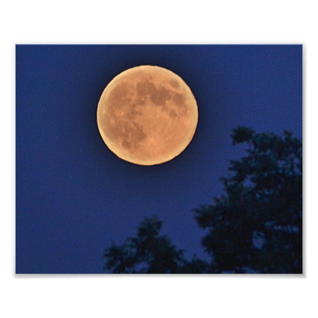Summer Moon Foto Print (Vorne)