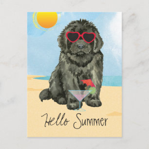 Summer Newfundland Postcard Postkarte