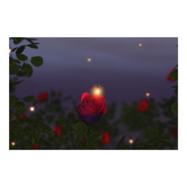 Summer Nightlights Foto Print (Vorne)