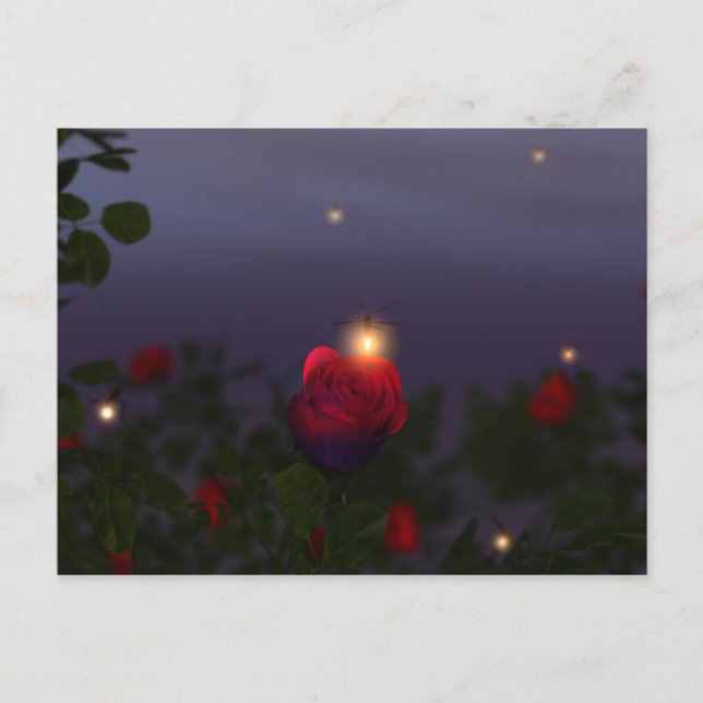 Summer Nightlights Postcard Postkarte (Vorderseite)