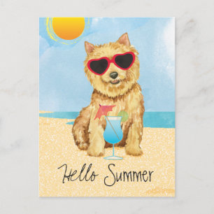 Summer Norwich Terrier Postcard Postkarte