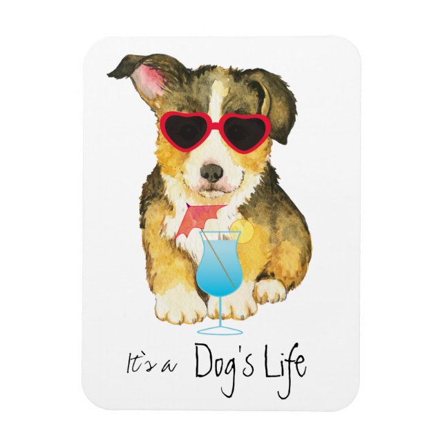 Summer Pembroke Welsh Corgi Magnet (Vertikal)
