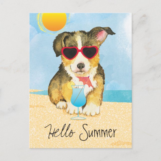 Summer Pembroke Welsh Corgi Postkarte (Vorderseite)