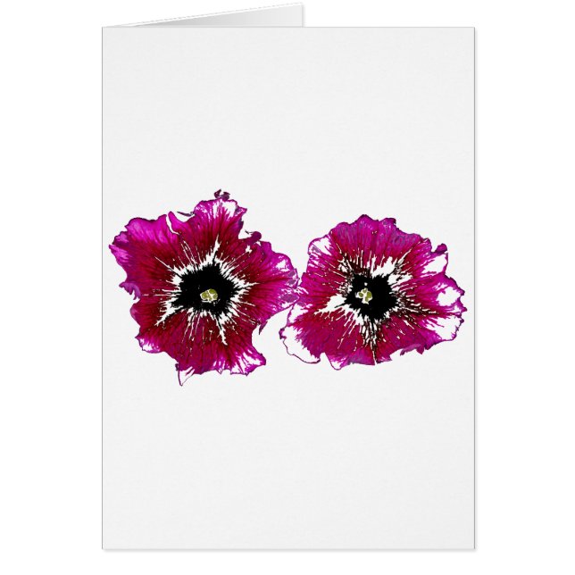 Summer Petunias (Vorne)