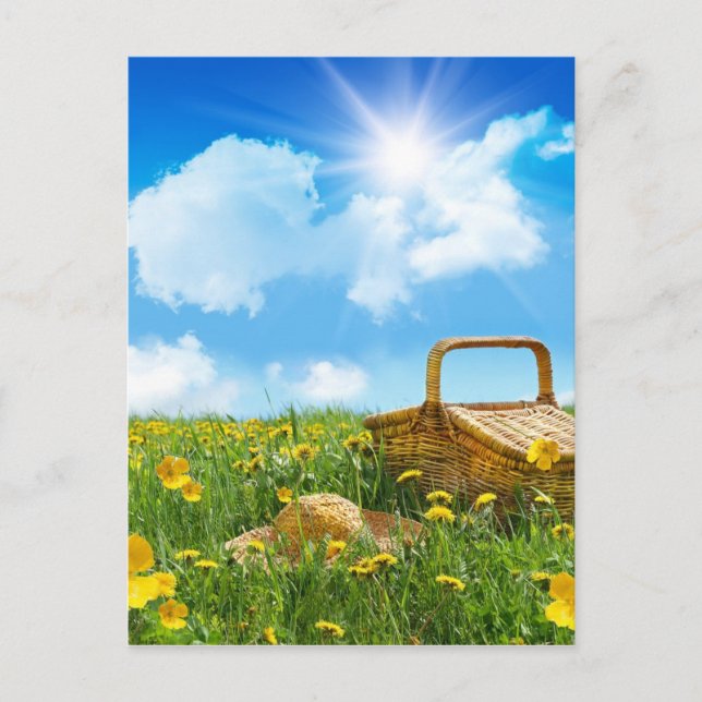Summer Picnic Postkarte (Vorderseite)