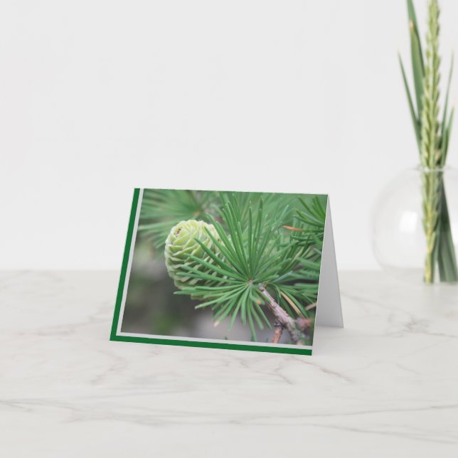 Summer Pine Cone Note Card Dankeskarte (Vorderseite)