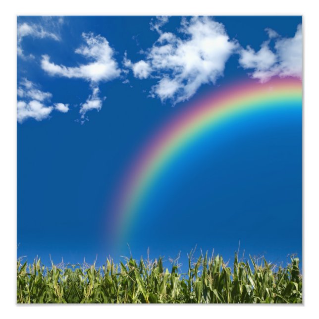 Summer Rainbow Wall Print Fotodruck (Vorne)