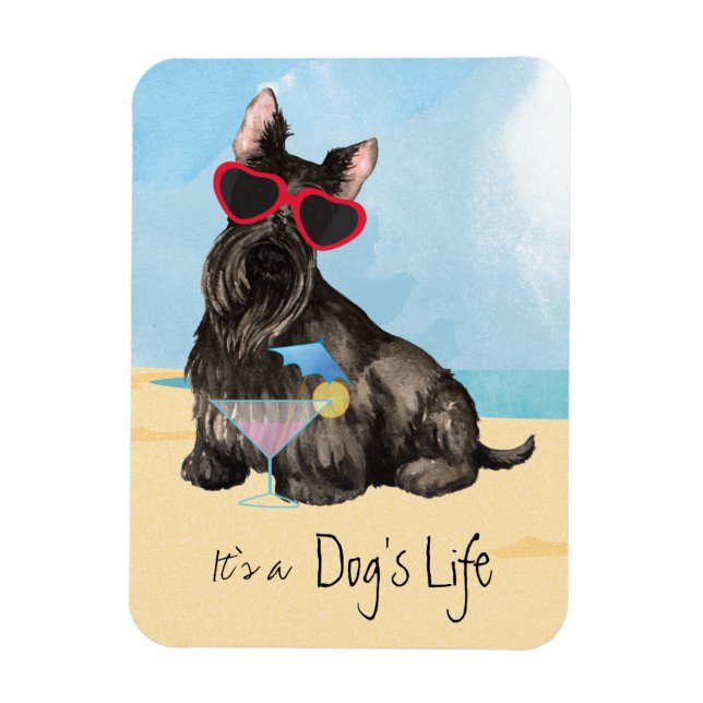 Summer Scottish Terrier Magnet (Vertikal)