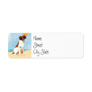 Summer Smooth Fox Terrier