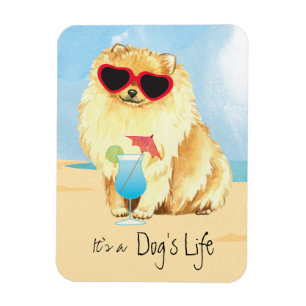 Summer Spitz Magnet