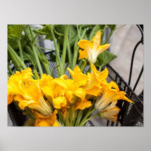 Summer Squash Blossoms Poster Paper (Matte) (Vorne)