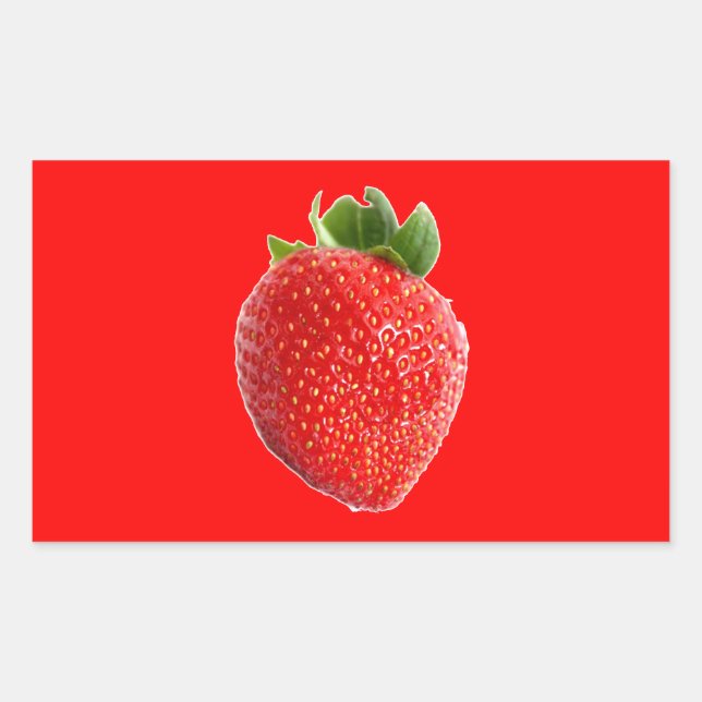 Summer Strawberry Rechteckiger Aufkleber (Vorderseite)