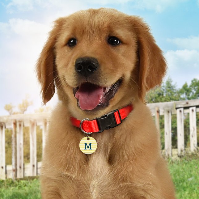 Summer Stripes Personalisiert Monogramm ID Hund Ta Haustiermarke (Von Creator hochgeladen)