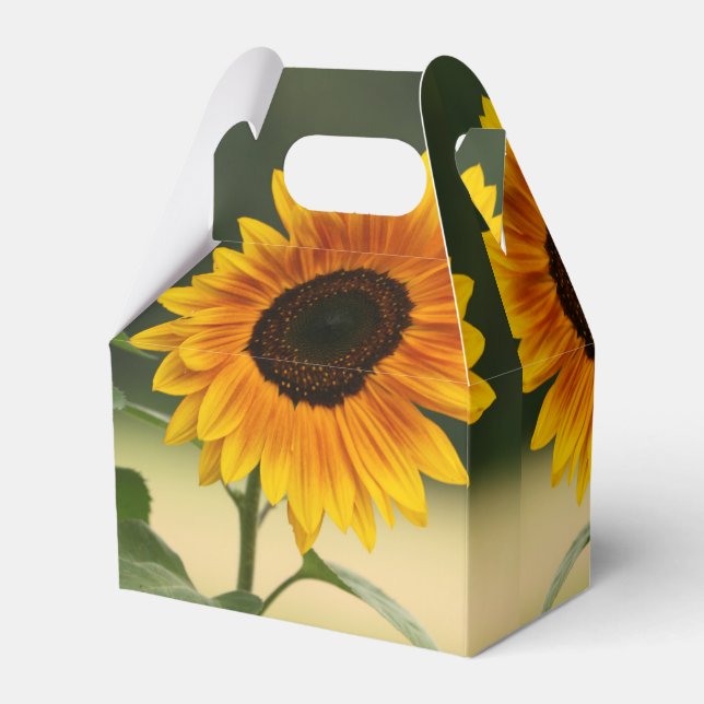 Summer Sunflower Bio Gefallen Box Geschenkschachtel (Rückseite)