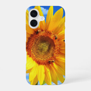 Summer Sunflower iPhone Case 16 Hülle