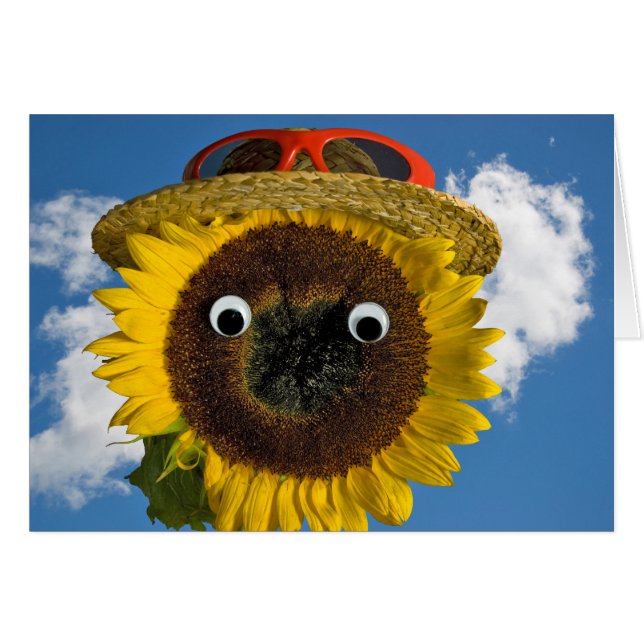 Summer Sunflower Spaß Geburtstag (Vorderseite (Horizontal))