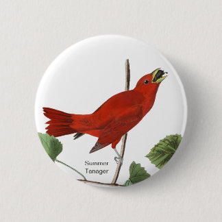 Summer Tanager, Audubon Red Bird, Birdwatcher Bird Button