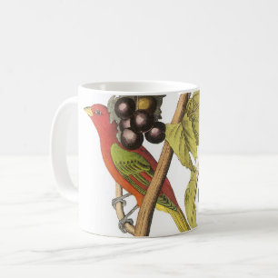 Summer Tanager von Audubon Kaffeetasse