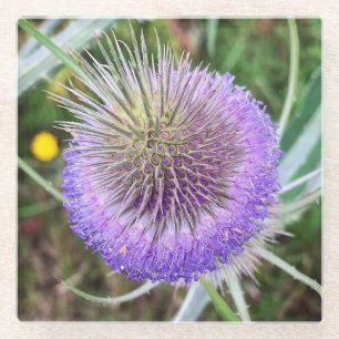 Summer Thistle Blume Glasuntersetzer