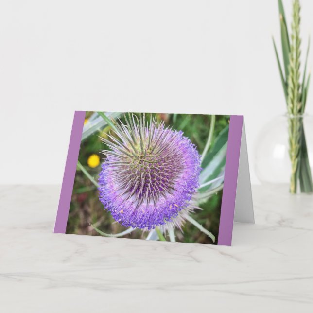 Summer Thistle Blume Karte (Vorderseite)