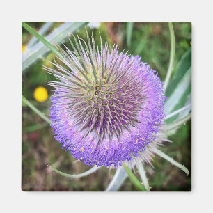 Summer Thistle Blume Magnet