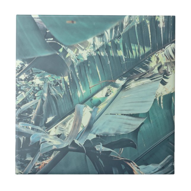 Summer Vibes Banana Tree Blätter Blassgrün Fliese (Vorderseite)