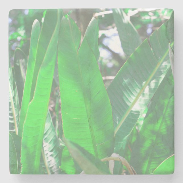 Summer Vibes Banana Tree Blätter Blassgrüne Pastel Steinuntersetzer (Vorderseite)