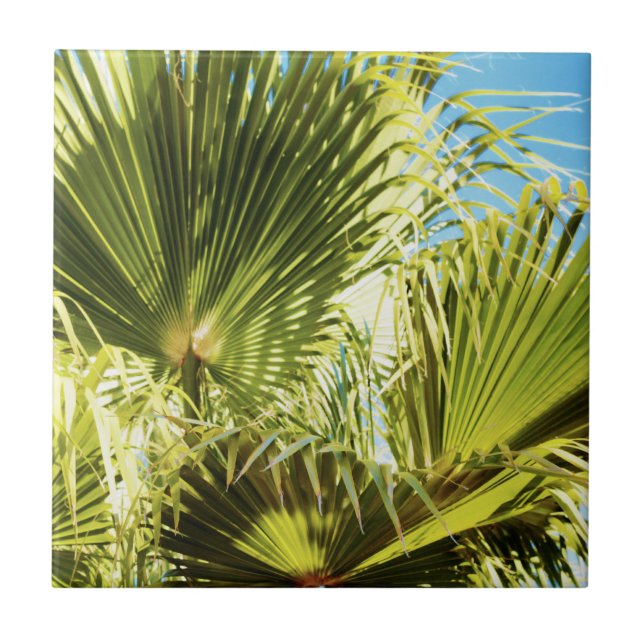 Summer Vibes Palm Tree Blätter Blassgrün Fliese (Vorderseite)