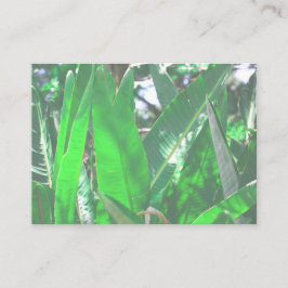 Summer Vibes Palm Tree Blätter Blassgrüne Pastel Visitenkarte