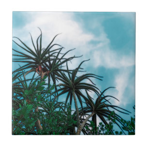 Summer Vibes Palm Tree Cactus Pale Green Fliese